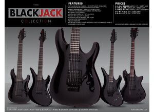 Schecter Blackjack A-6 FR/S (2014)