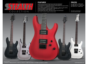 Schecter Stealth C-7