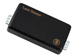 Lace Music Bill Kelliher's Dissonant Aggressor