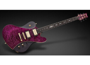 Framus Idolmaker Stevie Salas