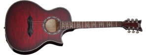 Schecter Hellraiser Stage Acoustic