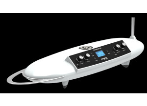 Moog Music Theremini