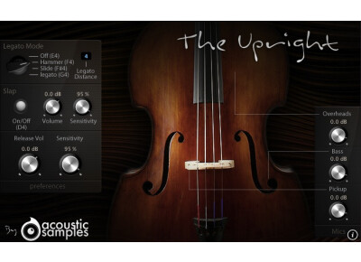 AcousticSamples The Upright