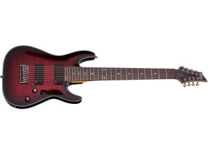 Schecter Damien Elite-8 (2014)