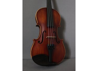 Violon-Cello VCB