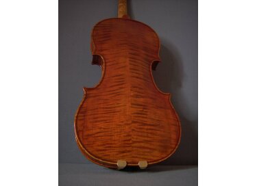 Violon-Cello VCF