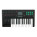 Voir la photo du Korg Taktile 25 Korg Taktile 25