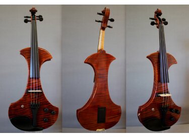 RG-eviolins RG MG-4 dual