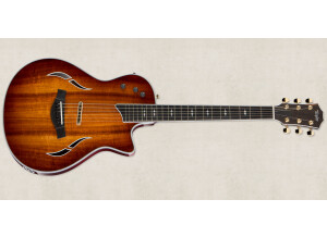 Taylor T5z Custom