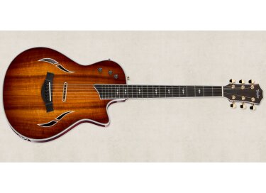 Taylor T5z Custom