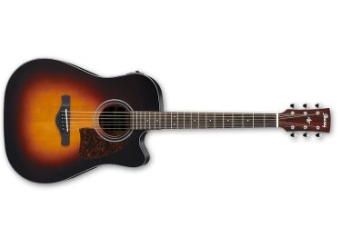 Ibanez AW400CE