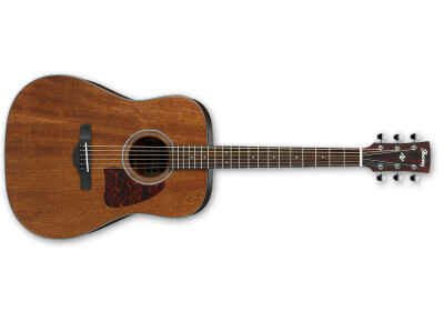 Ibanez AW54