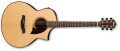 3 électro-acoustiques Ibanez AEW