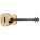 Voir la photo de la Ibanez PCBE12 Ibanez PCBE12