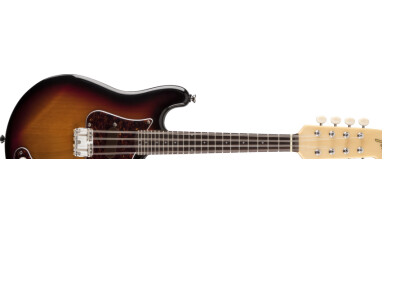 Fender Mando-Strat 8