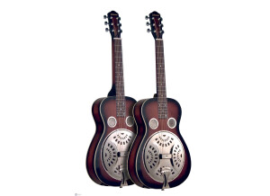 Johnson Guitars JR-410