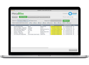 Mixed In Key MetaBliss
