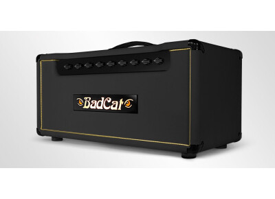 Bad Cat CUB III 15 Head