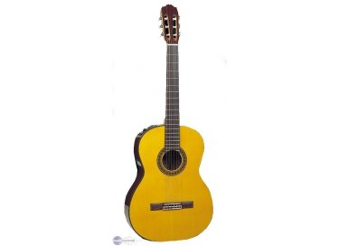 Takamine CP132S