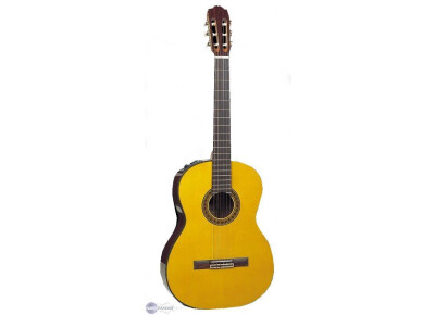 Takamine CP132S