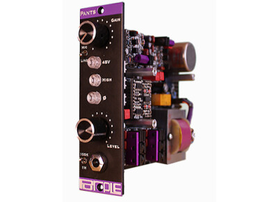 Purple Audio Pants