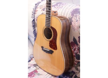 Washburn D55SW