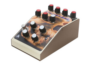 Audible Disease Palindrome PD-1