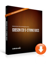 Cakewalk Gibson EB-5 String Bass