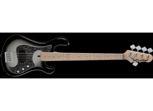 Dean Guitars Hillsboro 5