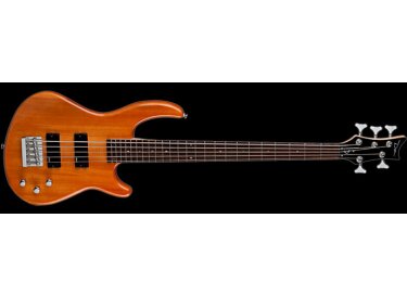 Dean Guitars Edge 1-5