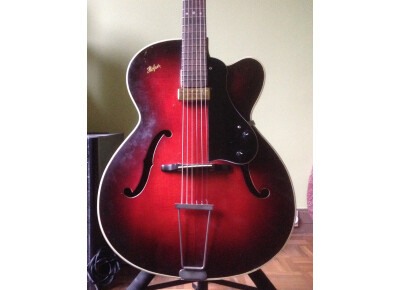 Hofner Guitars Model 450