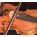Voir la photo du Prodipe VL21 Lanen Violon & Alto Prodipe VL21 Lanen Violon & Alto