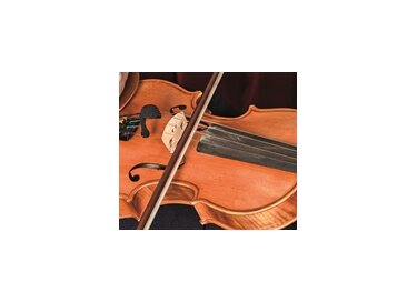 Prodipe VL21 Lanen Violon & Alto