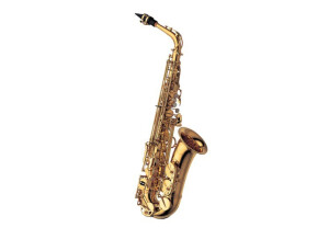 Yanagisawa A-WO1