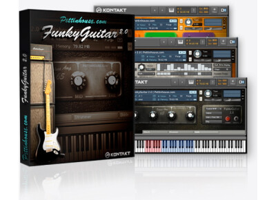 Pettinhouse FunkyGuitar 2