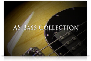 AcousticSamples AS Bass Collection