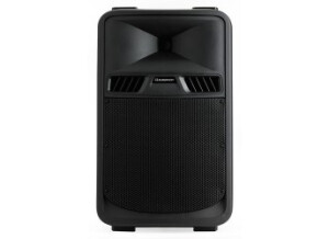 Audiophony SR10A