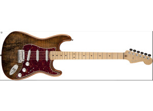 Fender Spalted Maple Top Artisan Stratocaster Maple