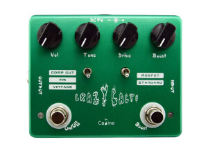 Caline CP-20 Crazy Cacti