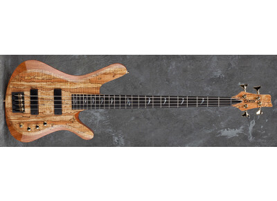 Carvin V49K