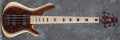 Carvin présente les basses Vanquish