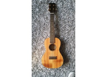 Antonio Pinto Carvalho Concerto CT