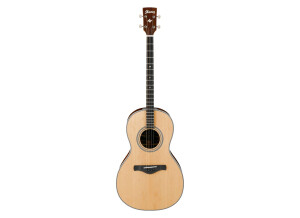 Ibanez AVT1