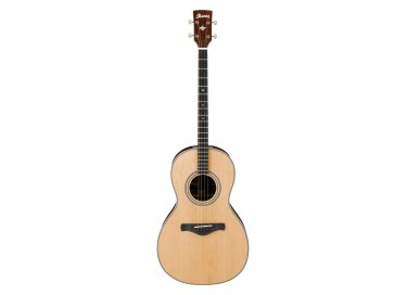 Ibanez AVT1
