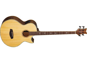 Ortega KTSM-4 Ken Taylor