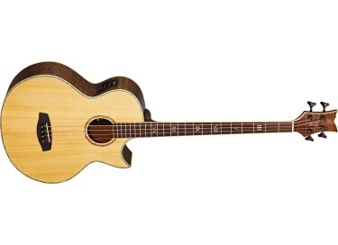 Ortega KTSM-4 Ken Taylor