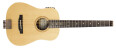 Traveler Guitar AG-105 EQ