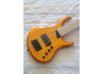 MTD (Michael Tobias Design) Kingston Artist 5