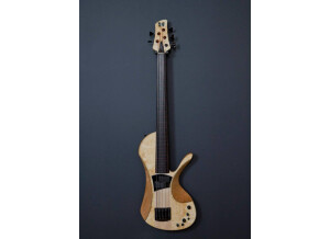 Fodera Guitars Victor Wooten Bow Bass