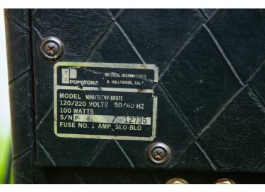 Polytone Mini-Teeny Brute II